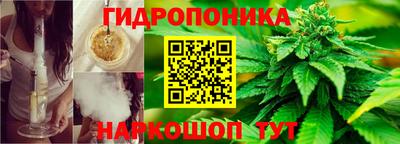 ГАЛЛЮЦИНОГЕННЫЕ ГРИБЫ Аргун