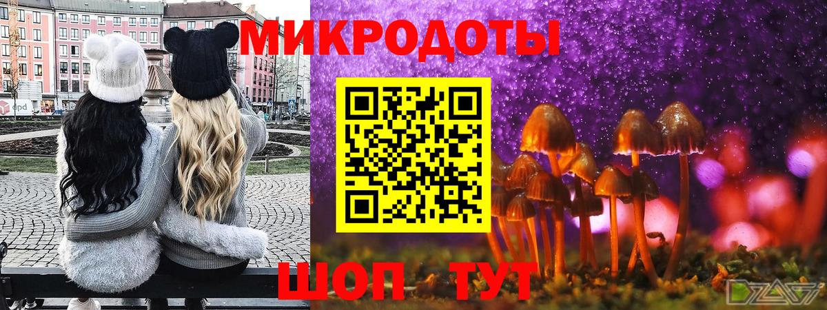 Вольск  Галлюциногенные грибы Psilocybe  где продают наркотики  Вход с VPN 