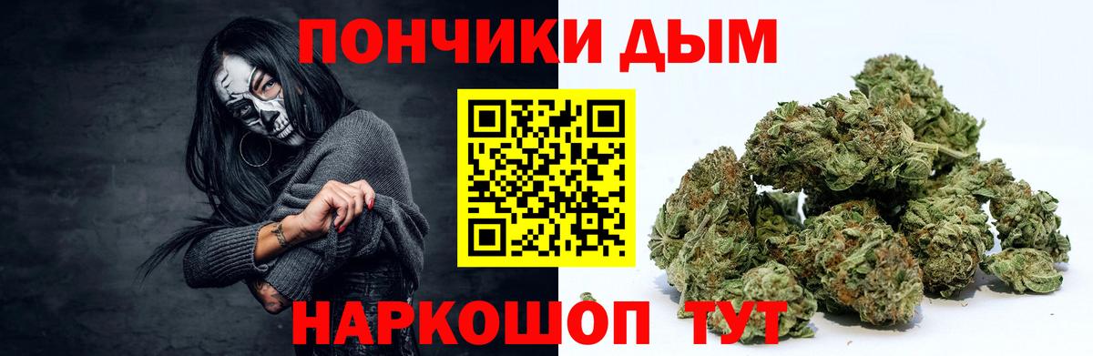 Каннабис Bruce Banner  Шишки марихуана планчик  Канабис тримм  Вольск  Вход с VPN 
